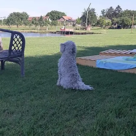 Apartament Jezero Privatnost