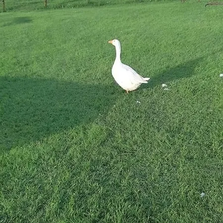 Apartament Jezero Privatnost *