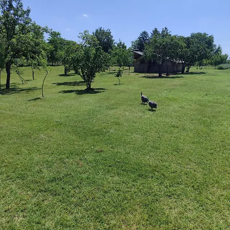 Jezero Privatnost Palić