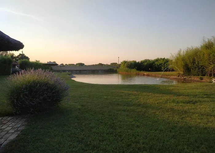 Jezero Privatnost * Palić