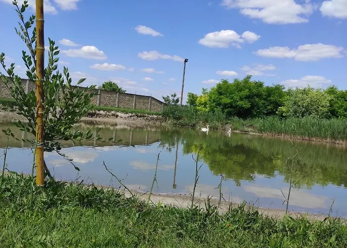 Jezero Privatnost * Palić