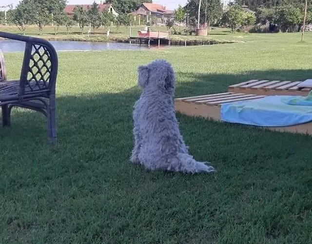 Appartamento Jezero Privatnost