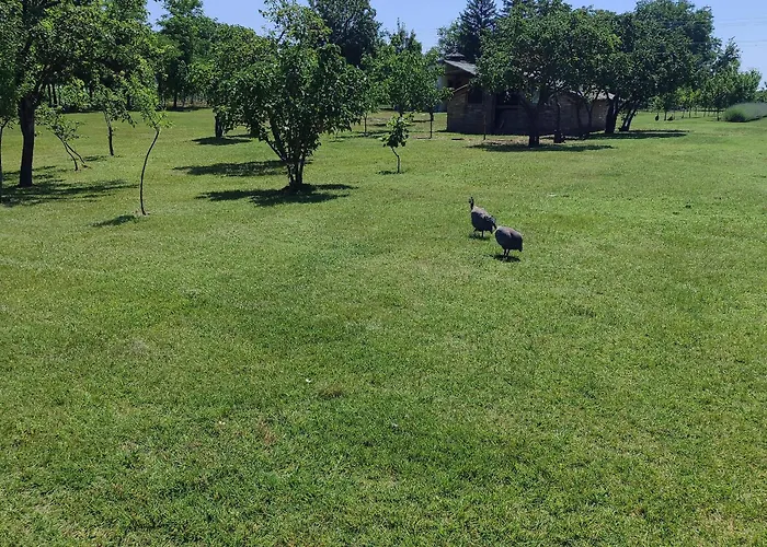 Jezero Privatnost Palić