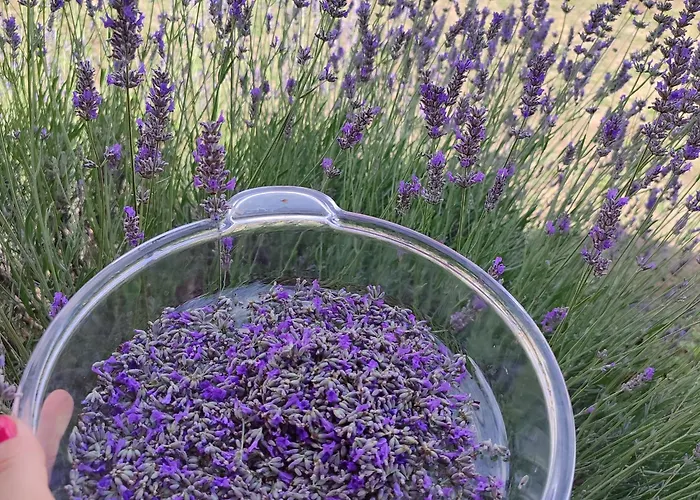 Appartamento Jezero Privatnost